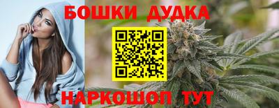 прущие грибы Брянск