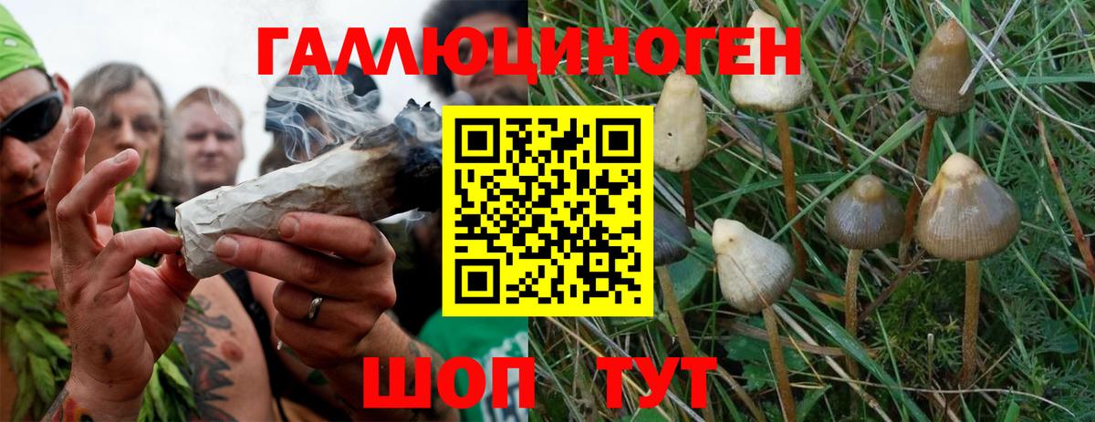 Киров  что такое наркотик  Вход с VPN  Галлюциногенные грибы прущие грибы 