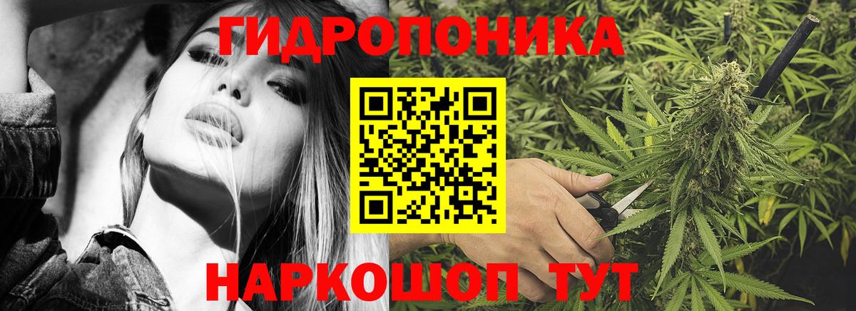 Бошки марихуана индика  Канабис ГИДРОПОН  Киров  Вход с VPN 